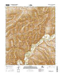 Melozitna A-6 NE Alaska Current topographic map, 1:25000 scale, 7.5 X 7.5 Minute, Year 2016