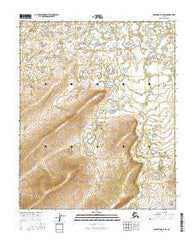 Melozitna C-5 SW Alaska Current topographic map, 1:25000 scale, 7.5 X 7.5 Minute, Year 2016