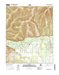 Melozitna D-4 SW Alaska Current topographic map, 1:25000 scale, 7.5 X 7.5 Minute, Year 2016