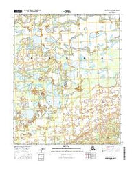 Melozitna D-6 SW Alaska Current topographic map, 1:25000 scale, 7.5 X 7.5 Minute, Year 2016