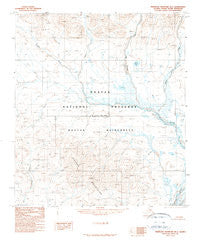 Misheguk Mountain B-1 Alaska Historical topographic map, 1:63360 scale, 15 X 15 Minute, Year 1990