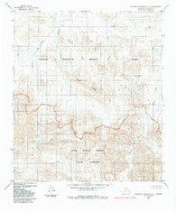 Misheguk Mountain C-1 Alaska Historical topographic map, 1:63360 scale, 15 X 15 Minute, Year 1984