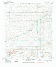 Misheguk Mountain D-1 Alaska Historical topographic map, 1:63360 scale, 15 X 15 Minute, Year 1984