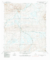 Misheguk Mountain D-4 Alaska Historical topographic map, 1:63360 scale, 15 X 15 Minute, Year 1984