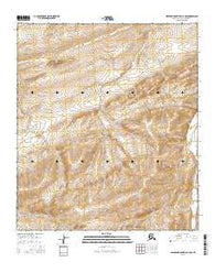 Misheguk Mountain C-4 NW Alaska Current topographic map, 1:25000 scale, 7.5 X 7.5 Minute, Year 2016
