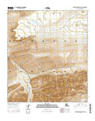 Misheguk Mountain D-3 SW Alaska Current topographic map, 1:25000 scale, 7.5 X 7.5 Minute, Year 2016