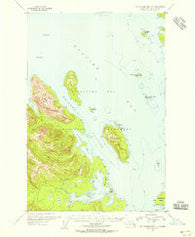 Mount Fairweather C-1 Alaska Historical topographic map, 1:63360 scale, 15 X 15 Minute, Year 1949
