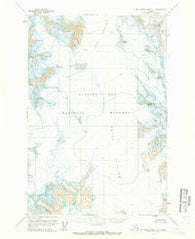 Mount Fairweather C-3 Alaska Historical topographic map, 1:63360 scale, 15 X 15 Minute, Year 1961