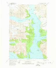 Mount Fairweather D-1 Alaska Historical topographic map, 1:63360 scale, 15 X 15 Minute, Year 1948