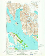 Mount Fairweather D-2 Alaska Historical topographic map, 1:63360 scale, 15 X 15 Minute, Year 1948
