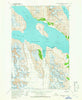 Mount Fairweather D-3 Alaska Historical topographic map, 1:63360 scale, 15 X 15 Minute, Year 1961