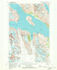 Mount Fairweather D-3 Alaska Historical topographic map, 1:63360 scale, 15 X 15 Minute, Year 1961