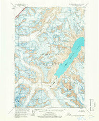 Mount Fairweather D-4 Alaska Historical topographic map, 1:63360 scale, 15 X 15 Minute, Year 1961