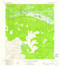 Mount Hayes C-1 Alaska Historical topographic map, 1:63360 scale, 15 X 15 Minute, Year 1955