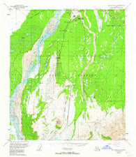 Mount Hayes D-4 Alaska Historical topographic map, 1:63360 scale, 15 X 15 Minute, Year 1950