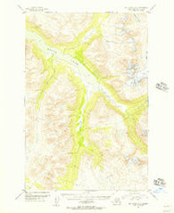 Mount Katmai D-3 Alaska Historical topographic map, 1:63360 scale, 15 X 15 Minute, Year 1951