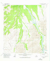 Mount McKinley C-1 Alaska Historical topographic map, 1:63360 scale, 15 X 15 Minute, Year 1954