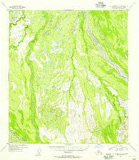 Mount McKinley C-4 Alaska Historical topographic map, 1:63360 scale, 15 X 15 Minute, Year 1954