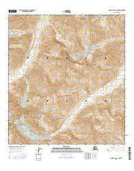 Mount Hayes A-1 NE Alaska Current topographic map, 1:25000 scale, 7.5 X 7.5 Minute, Year 2016