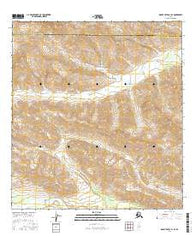 Mount Hayes A-1 SE Alaska Current topographic map, 1:25000 scale, 7.5 X 7.5 Minute, Year 2016