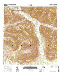 Mount Hayes A-1 SW Alaska Current topographic map, 1:25000 scale, 7.5 X 7.5 Minute, Year 2016