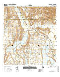 Mount Hayes A-4 NE Alaska Current topographic map, 1:25000 scale, 7.5 X 7.5 Minute, Year 2016
