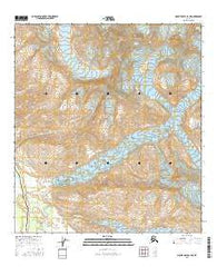 Mount Hayes B-4 NE Alaska Current topographic map, 1:25000 scale, 7.5 X 7.5 Minute, Year 2016