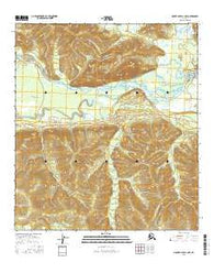 Mount Hayes C-1 NW Alaska Current topographic map, 1:25000 scale, 7.5 X 7.5 Minute, Year 2016