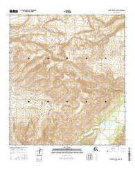 Mount Hayes C-3 NW Alaska Current topographic map, 1:25000 scale, 7.5 X 7.5 Minute, Year 2016