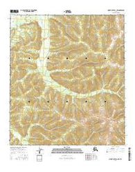 Mount Hayes D-1 NW Alaska Current topographic map, 1:25000 scale, 7.5 X 7.5 Minute, Year 2016