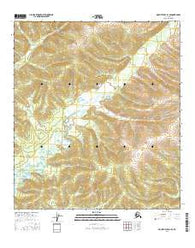 Mount Hayes D-1 SE Alaska Current topographic map, 1:25000 scale, 7.5 X 7.5 Minute, Year 2016