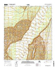 Mount Hayes D-4 NW Alaska Current topographic map, 1:25000 scale, 7.5 X 7.5 Minute, Year 2016