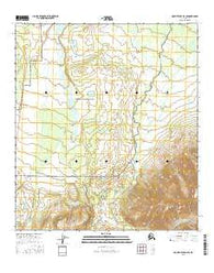 Mount Hayes D-4 SE Alaska Current topographic map, 1:25000 scale, 7.5 X 7.5 Minute, Year 2016