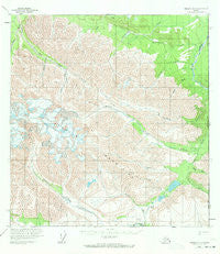 Nabesna A-1 Alaska Historical topographic map, 1:63360 scale, 15 X 15 Minute, Year 1959