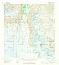 Nabesna A-6 Alaska Historical topographic map, 1:63360 scale, 15 X 15 Minute, Year 1959