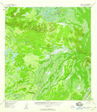 Nabesna C-2 Alaska Historical topographic map, 1:63360 scale, 15 X 15 Minute, Year 1955