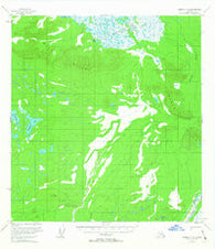 Nabesna C-2 Alaska Historical topographic map, 1:63360 scale, 15 X 15 Minute, Year 1955