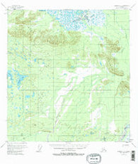 Nabesna C-2 Alaska Historical topographic map, 1:63360 scale, 15 X 15 Minute, Year 1955