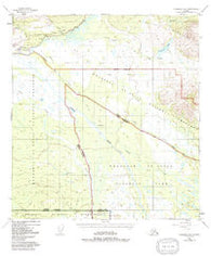 Nabesna C-6 Alaska Historical topographic map, 1:63360 scale, 15 X 15 Minute, Year 1948