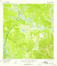 Nabesna D-1 Alaska Historical topographic map, 1:63360 scale, 15 X 15 Minute, Year 1952