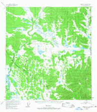 Nabesna D-1 Alaska Historical topographic map, 1:63360 scale, 15 X 15 Minute, Year 1952