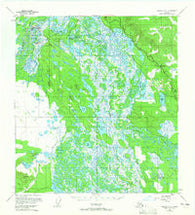 Nabesna D-2 Alaska Historical topographic map, 1:63360 scale, 15 X 15 Minute, Year 1955