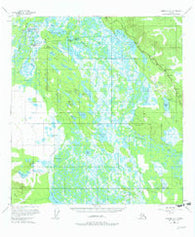 Nabesna D-2 Alaska Historical topographic map, 1:63360 scale, 15 X 15 Minute, Year 1955