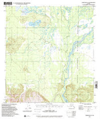 Nabesna D-3 Alaska Historical topographic map, 1:63360 scale, 15 X 15 Minute, Year 1954