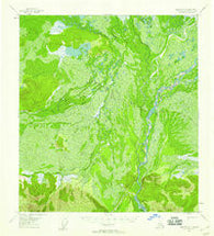 Nabesna D-3 Alaska Historical topographic map, 1:63360 scale, 15 X 15 Minute, Year 1955