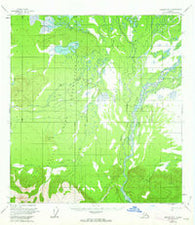 Nabesna D-3 Alaska Historical topographic map, 1:63360 scale, 15 X 15 Minute, Year 1955