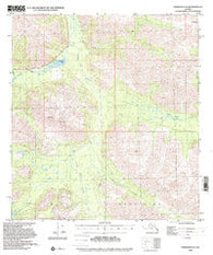 Nabesna D-5 Alaska Historical topographic map, 1:63360 scale, 15 X 15 Minute, Year 1948