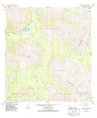 Nabesna D-5 Alaska Historical topographic map, 1:63360 scale, 15 X 15 Minute, Year 1950