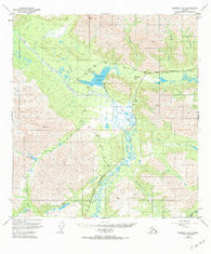 Nabesna D-6 Alaska Historical topographic map, 1:63360 scale, 15 X 15 Minute, Year 1949