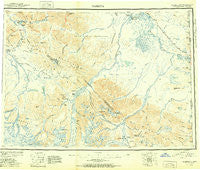 Nabesna Alaska Historical topographic map, 1:250000 scale, 1 X 3 Degree, Year 1951